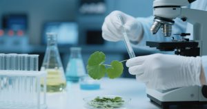 从古老草药到现代护肤：积雪草提取物的旅程